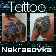 Тату-студия Сyborg Tattoo фото 8 на сайте Nekrasovka.su